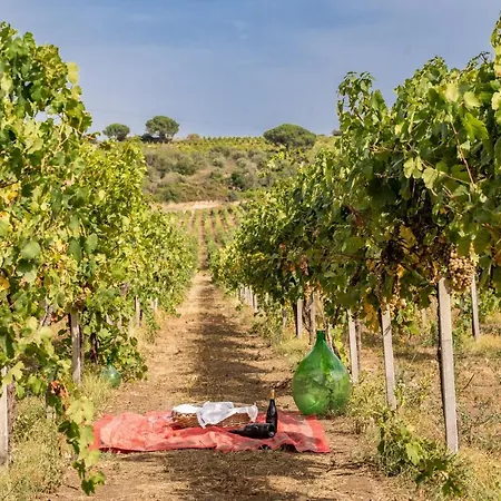 Un' Ottima Annata - La Casa Nel Vigneto