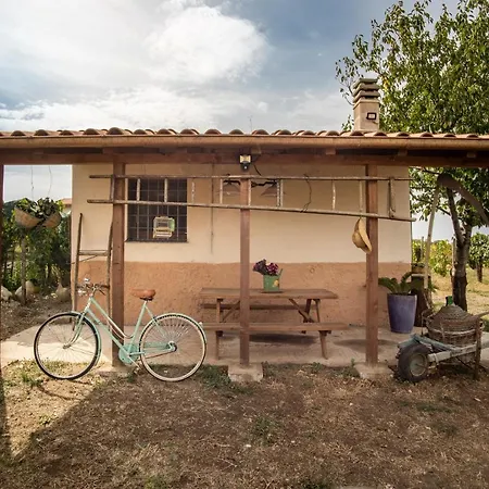 Hébergement de vacances Un' Ottima Annata - La Casa Nel Vigneto Monte Porzio Catone