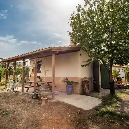 Hébergement de vacances Un' Ottima Annata - La Casa Nel Vigneto *