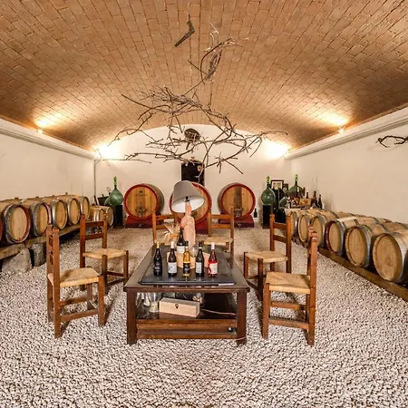 Un' Ottima Annata - La Casa Nel Vigneto *