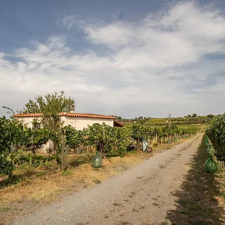 Un' Ottima Annata - La Casa Nel Vigneto