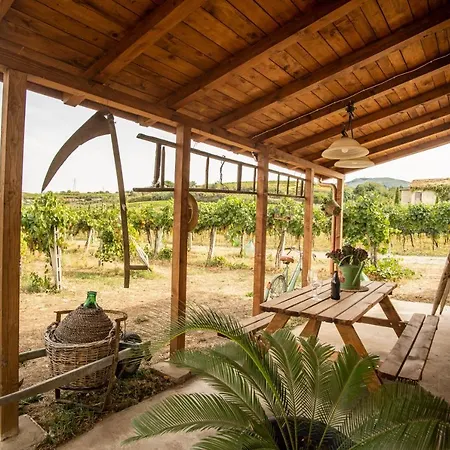 Un' Ottima Annata - La Casa Nel Vigneto Hébergement de vacances Monte Porzio Catone