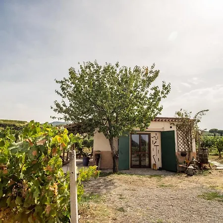 Un' Ottima Annata - La Casa Nel Vigneto Monte Porzio Catone