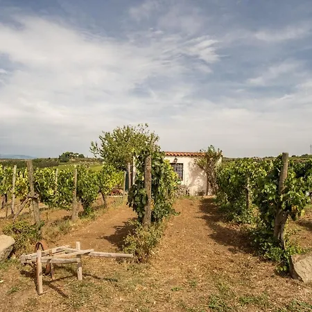 Un' Ottima Annata - La Casa Nel Vigneto