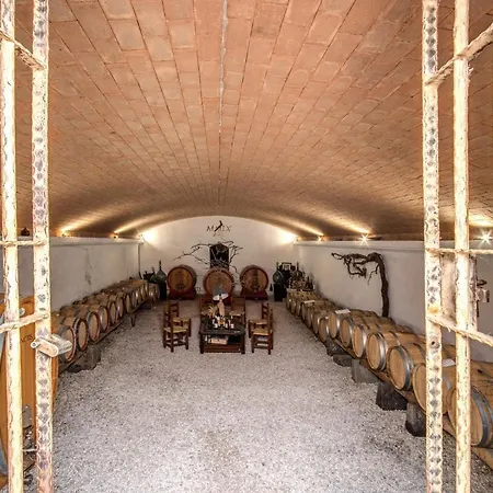 Hébergement de vacances Un' Ottima Annata - La Casa Nel Vigneto